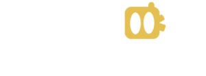 Asset 17